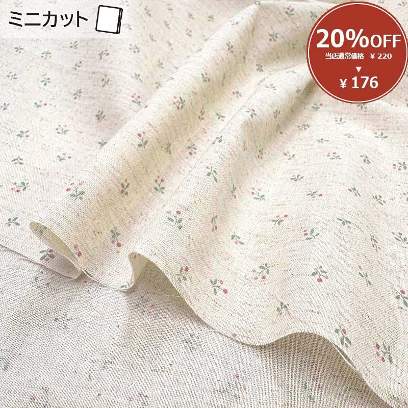 2025-08-A05 ミニカット 定価￥220 / 枚 税込