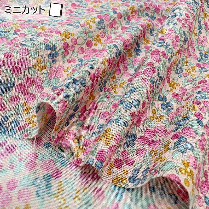 2026-01-A02 ミニカット