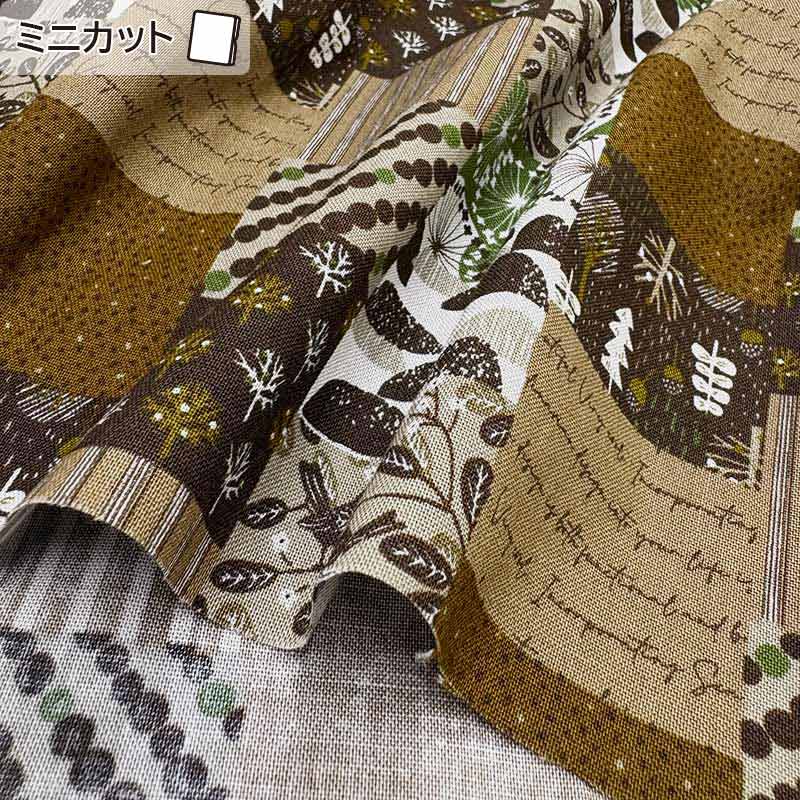 2026-01-A05 ミニカット