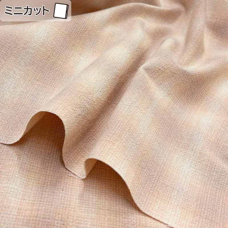 2026-01-A15 ミニカット