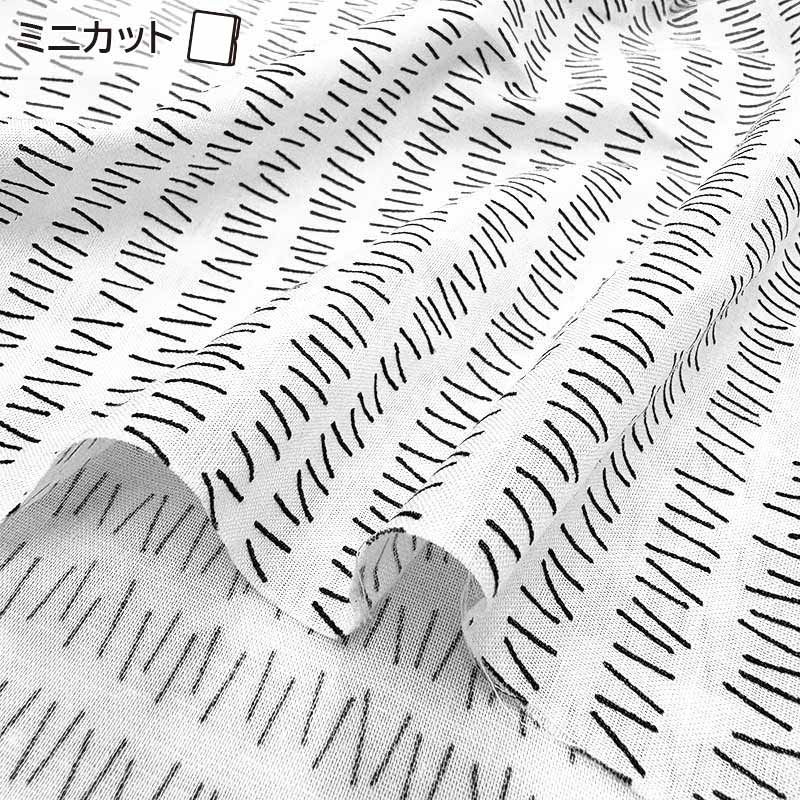 2026-02-A01 ミニカット