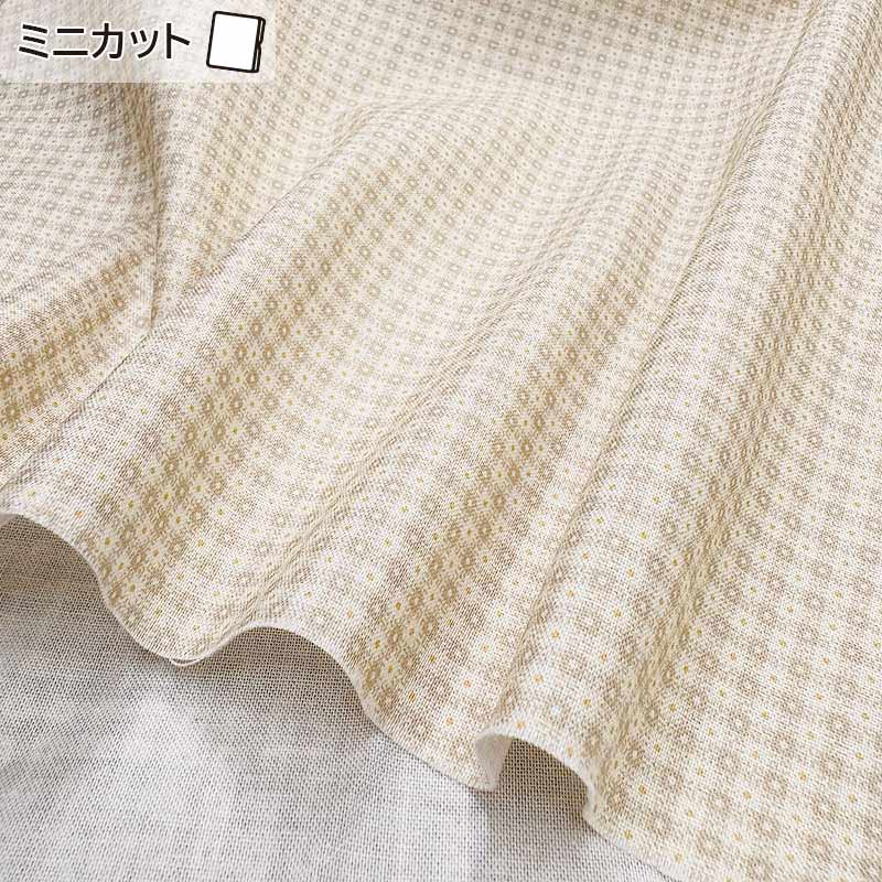 2026-02-A05 ミニカット