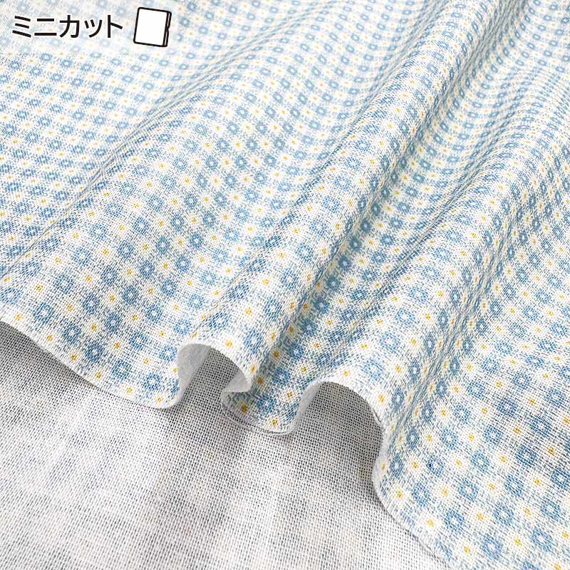 2026-02-A06 ミニカット