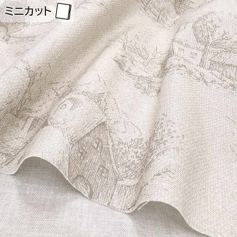 2026-02-A07 ミニカット