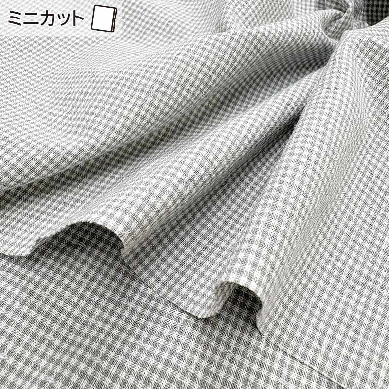 2026-02-A10 ミニカット