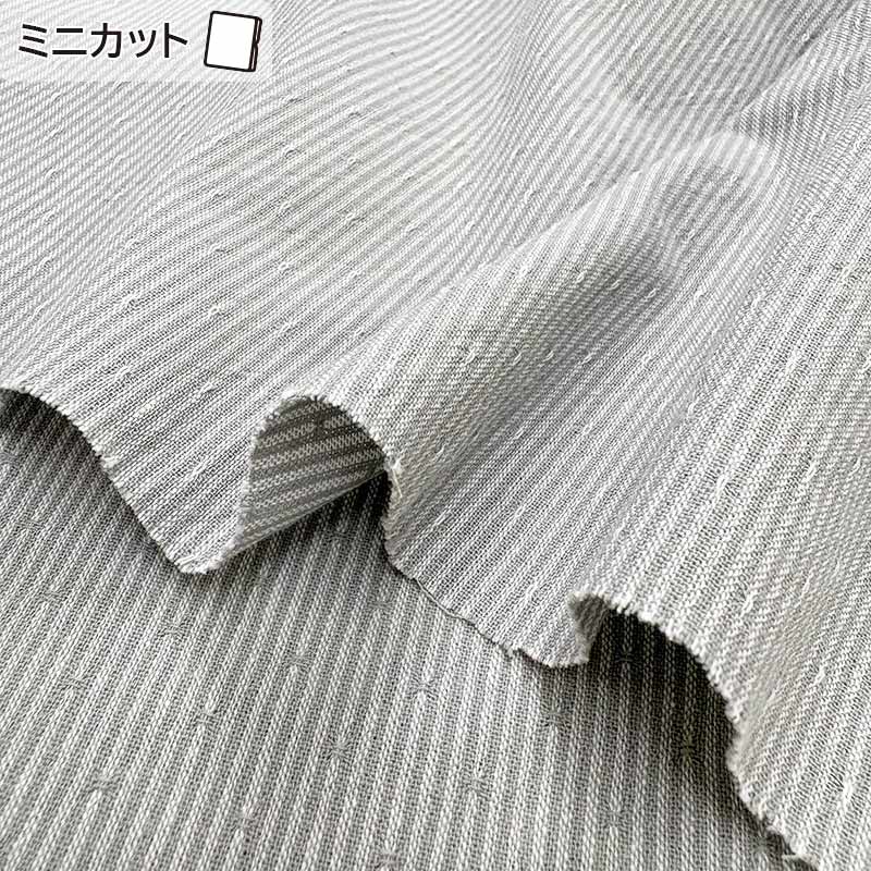 2026-02-A11 ミニカット