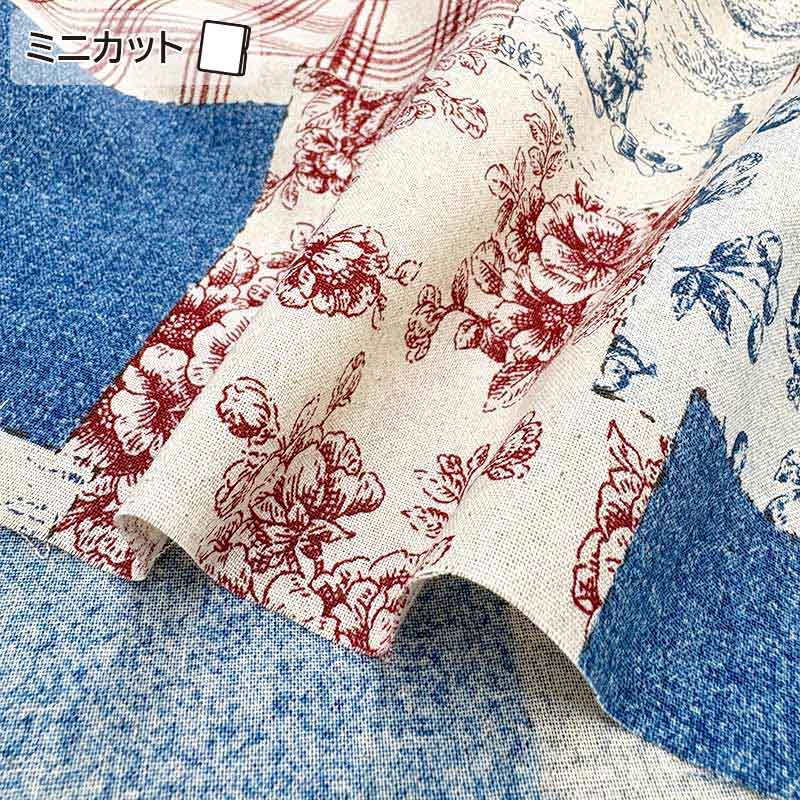 web2602-A02   ブルー/レッド　ミニカット　