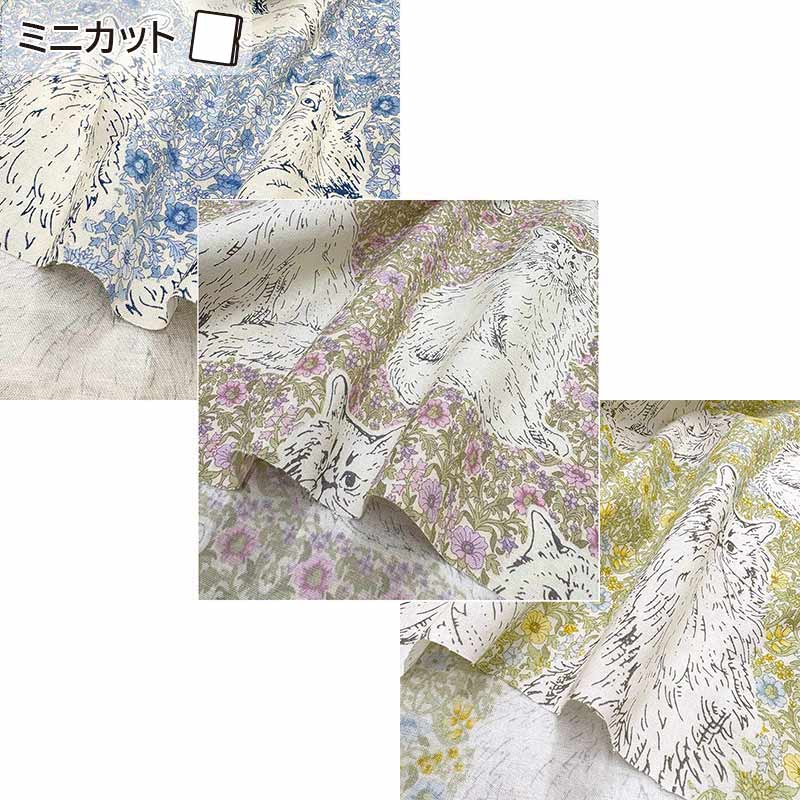 web20260409-01　ネコのあそびば　ミニカット　