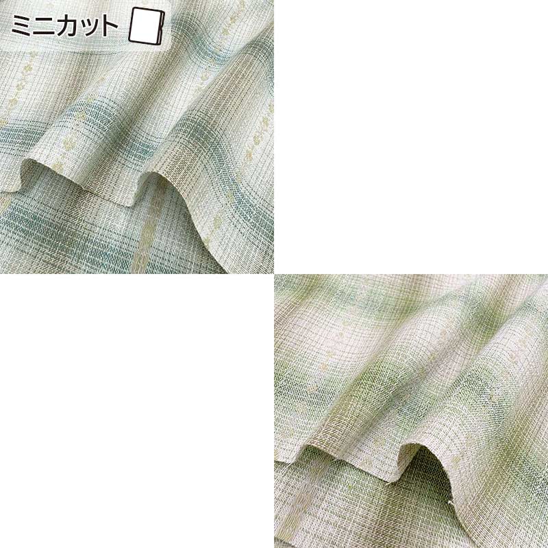 web2604-A09   ミニカット