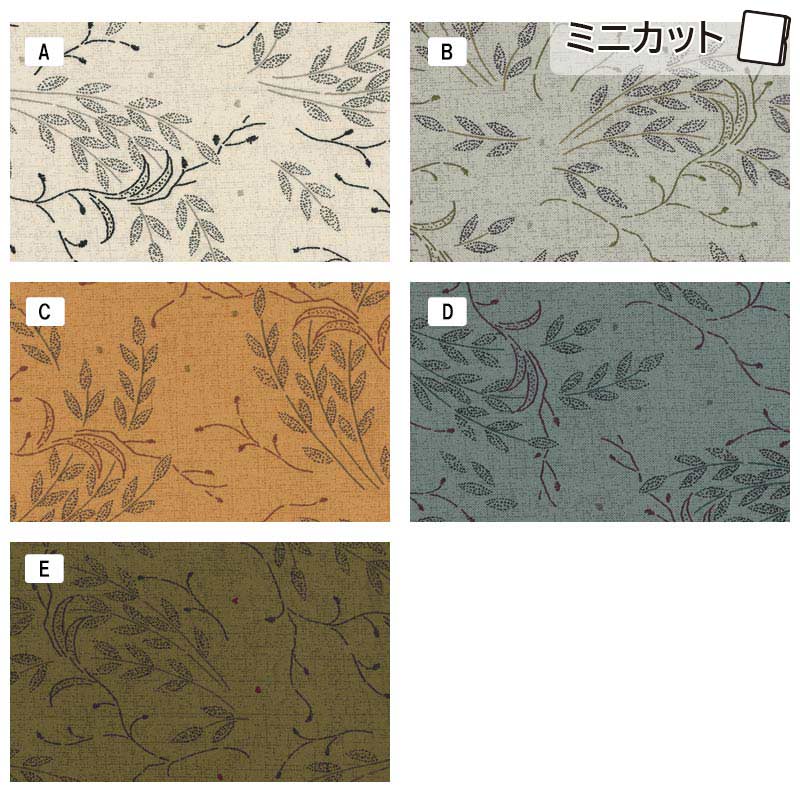 ★センテナリー30 [10624] ミニカット