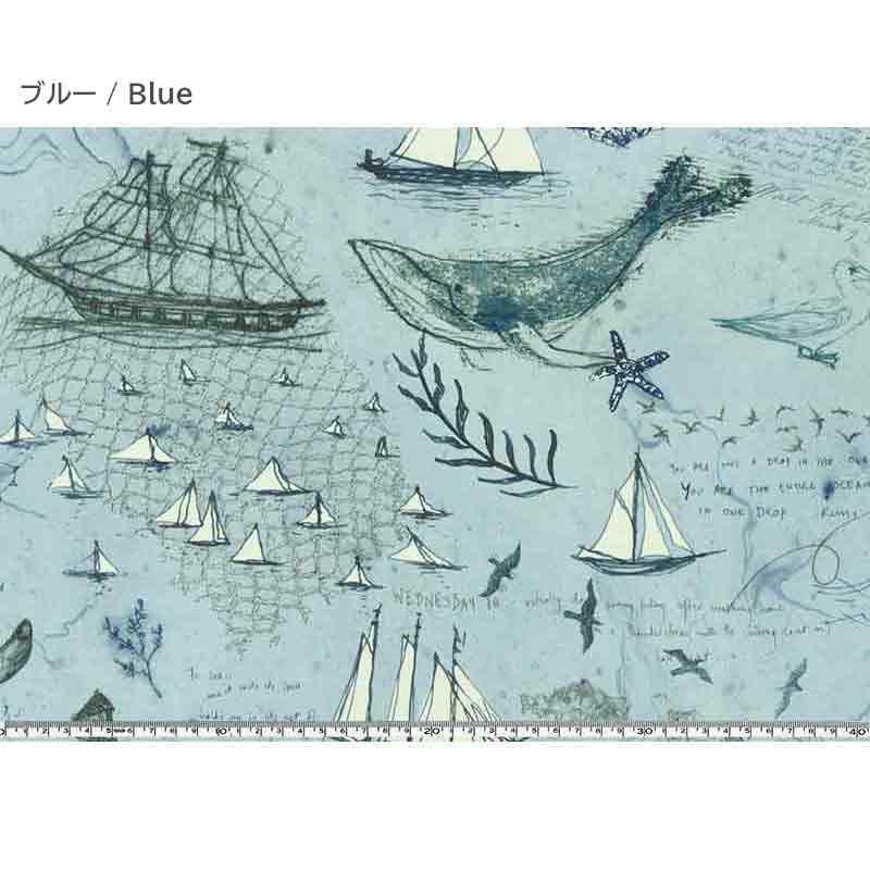 web20250410-02 USAコットン moda ロングショア　パスポート10cm