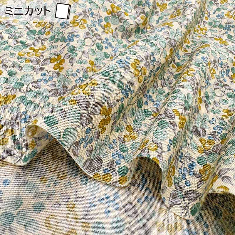 ★2026-01-A01 ミニカット