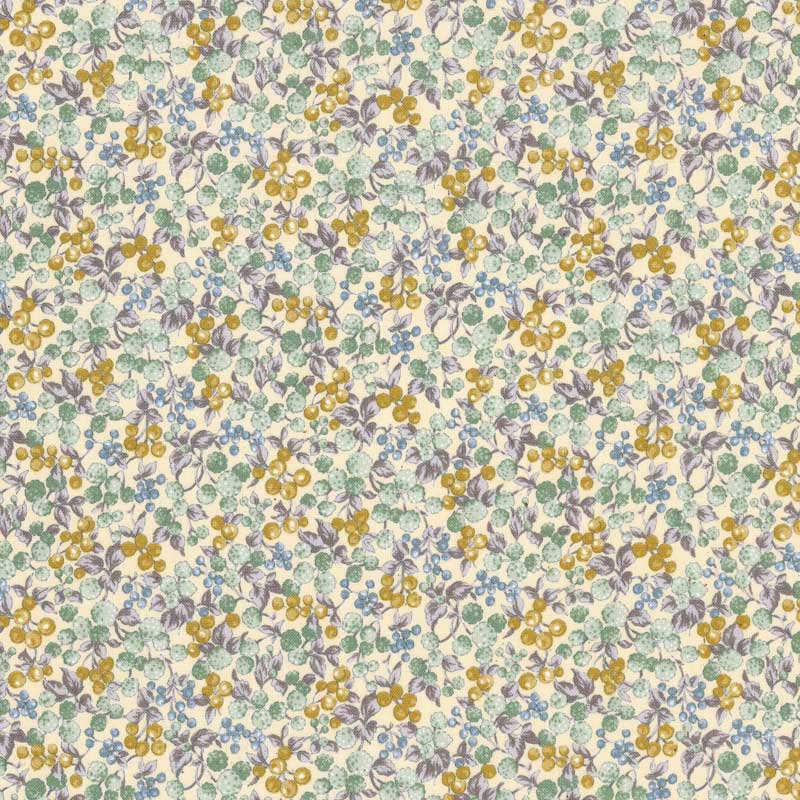 ★2026-01-A01 ミニカット