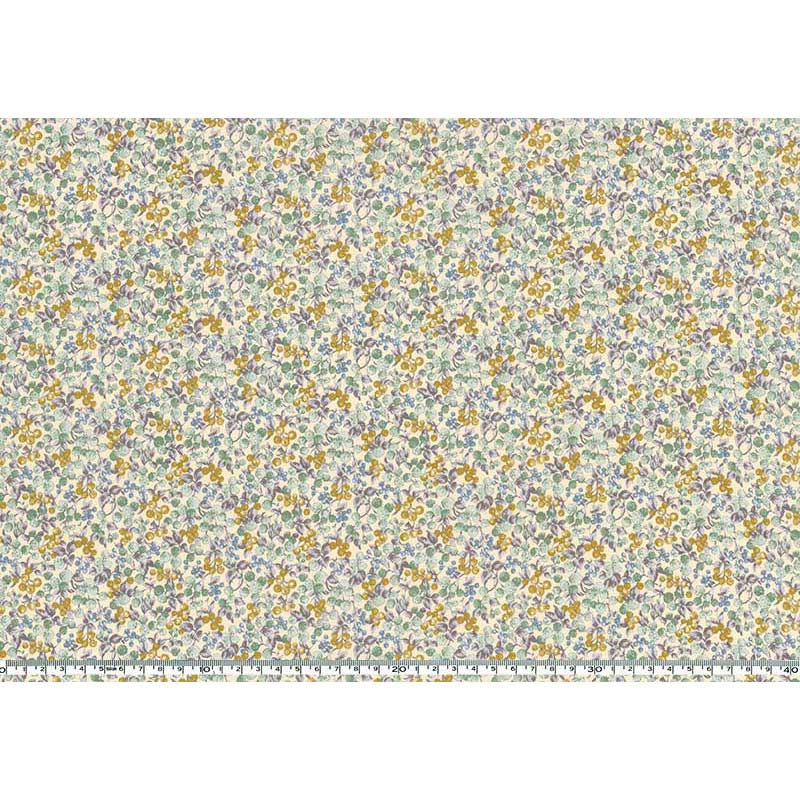 ★2026-01-A01 ミニカット