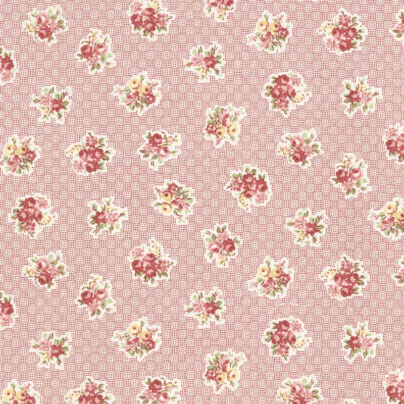 ★2025-05-A10 ミニカット