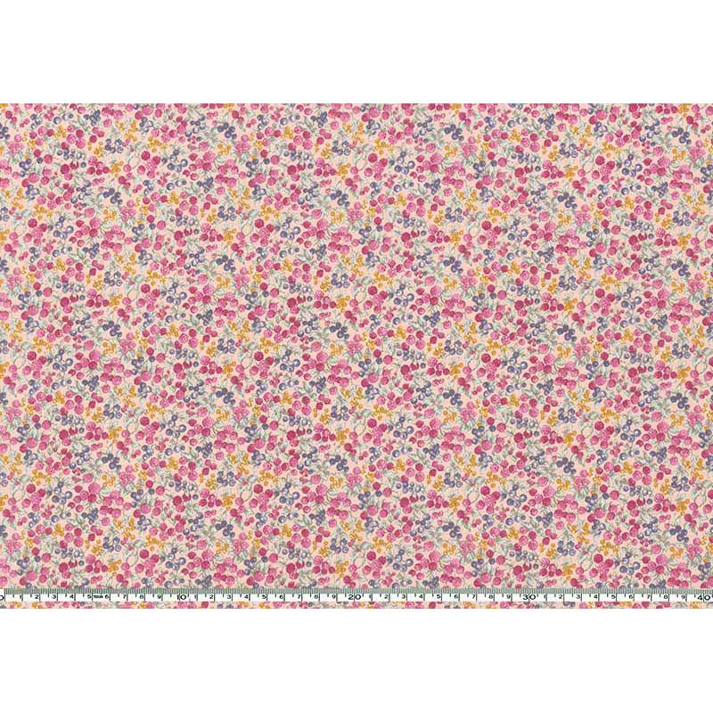 ★2026-01-A02 ミニカット