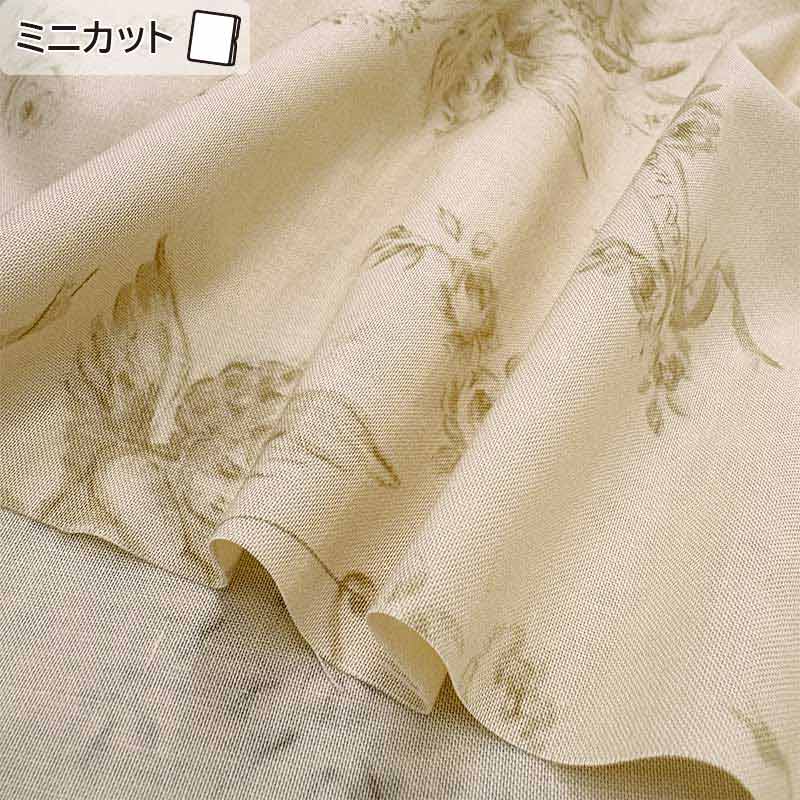 ★2026-01-A03 ミニカット