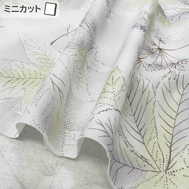 ★2025-05-A12 ミニカット