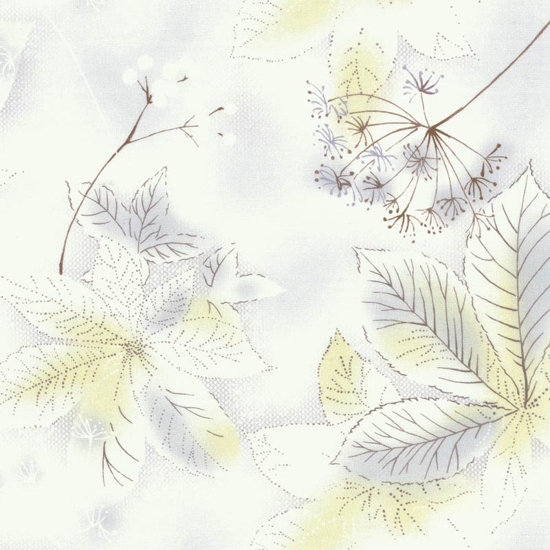 ★2025-05-A12 ミニカット