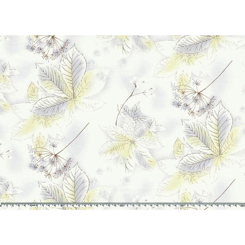 ★2025-05-A12 ミニカット