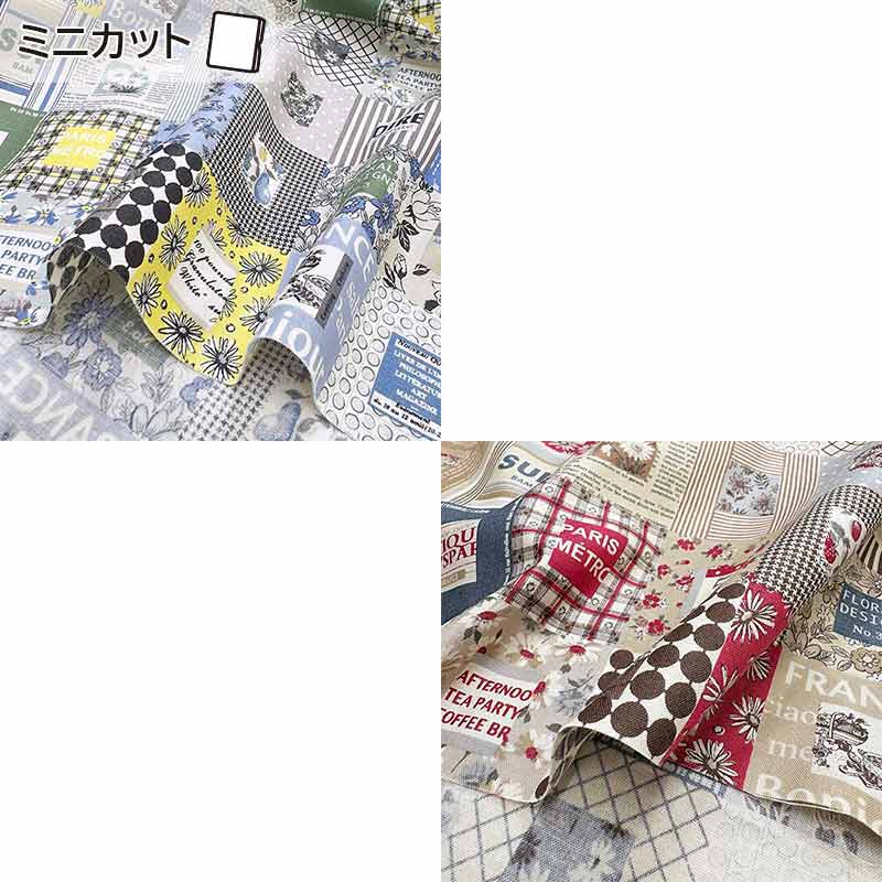 web20260425-03 YUWA 小関鈴子 シャーティング スクエア ミニカット