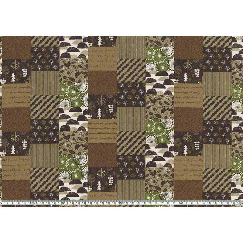 ★2026-01-A05 ミニカット