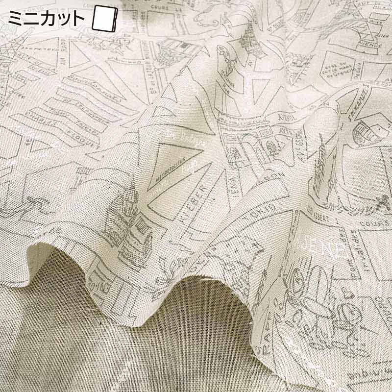 ★2026-01-A07 ミニカット