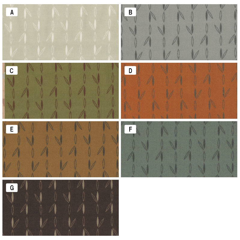 ★センテナリー28 [10470]  ミニカット