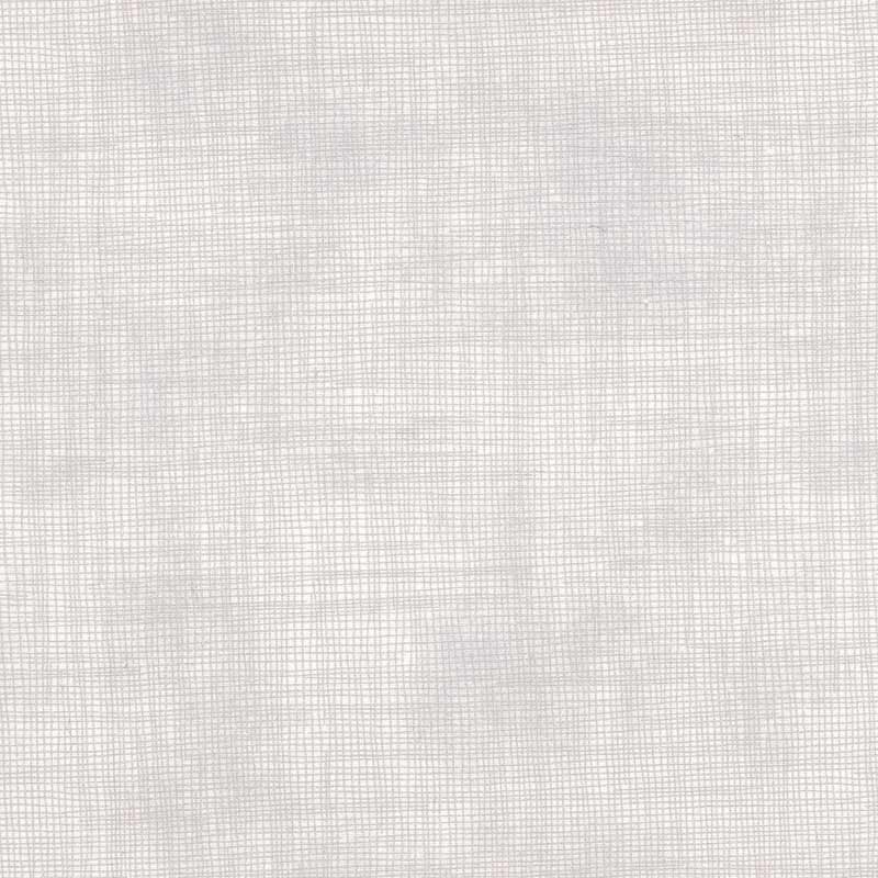 ★2026-01-A09 ミニカット