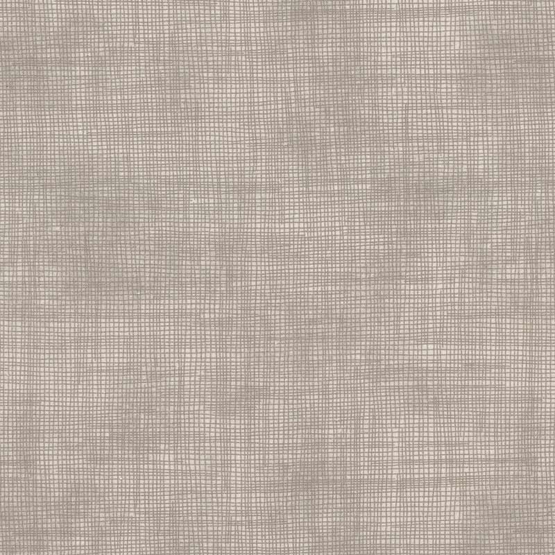 ★2026-01-A10 ミニカット