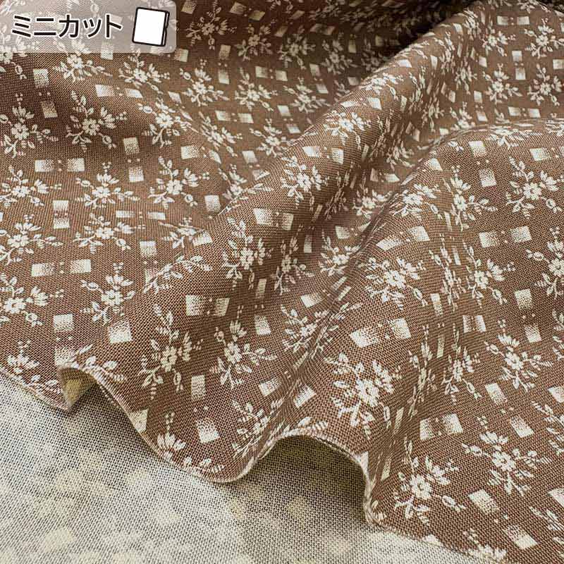 ★2026-01-A13 ミニカット