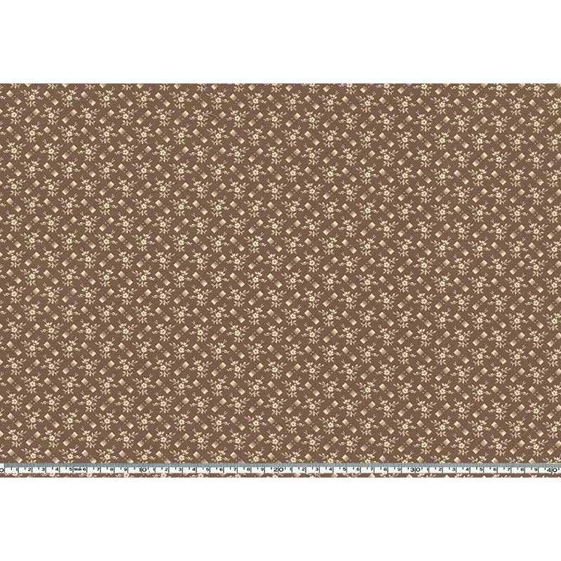 ★2026-01-A13 ミニカット