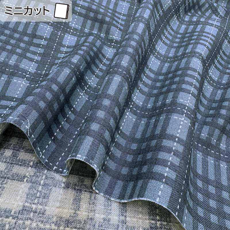 ★2026-01-A14 ミニカット