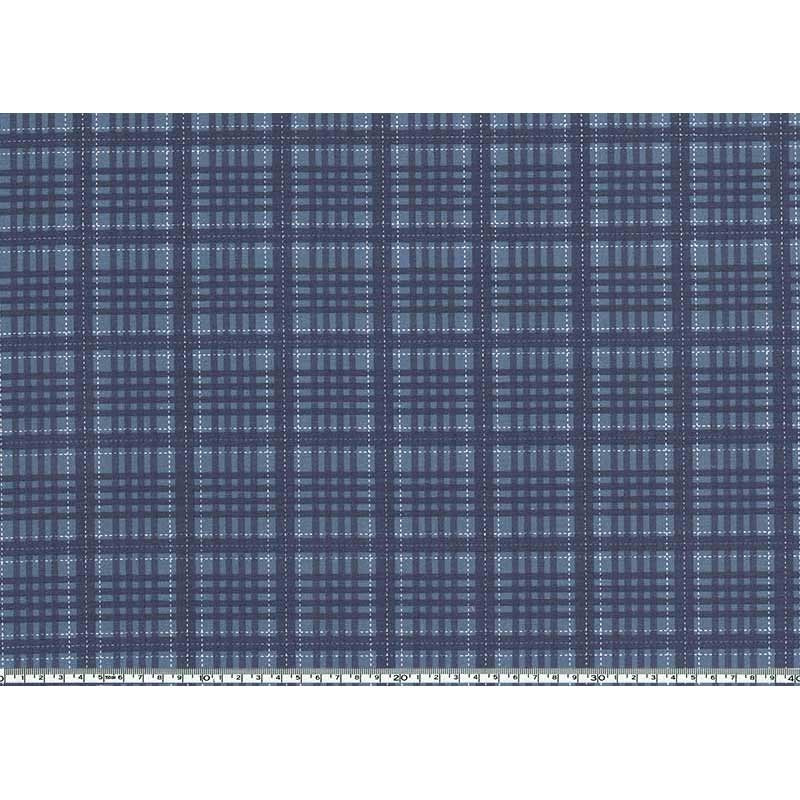 ★2026-01-A14 ミニカット