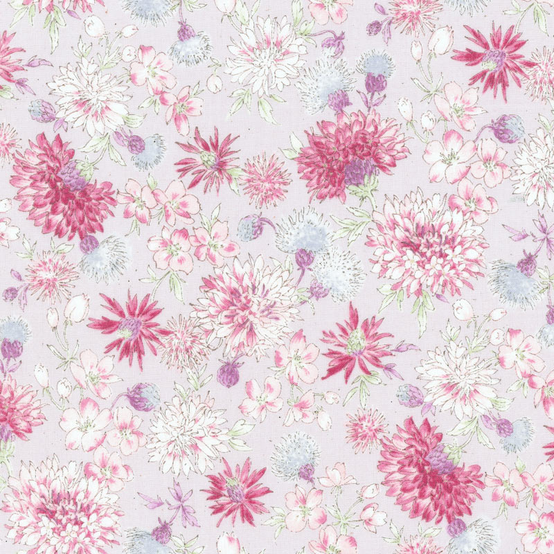 ★2025-03-A01 ミニカット