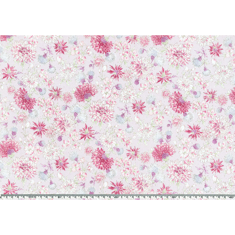 ★2025-03-A01 ミニカット