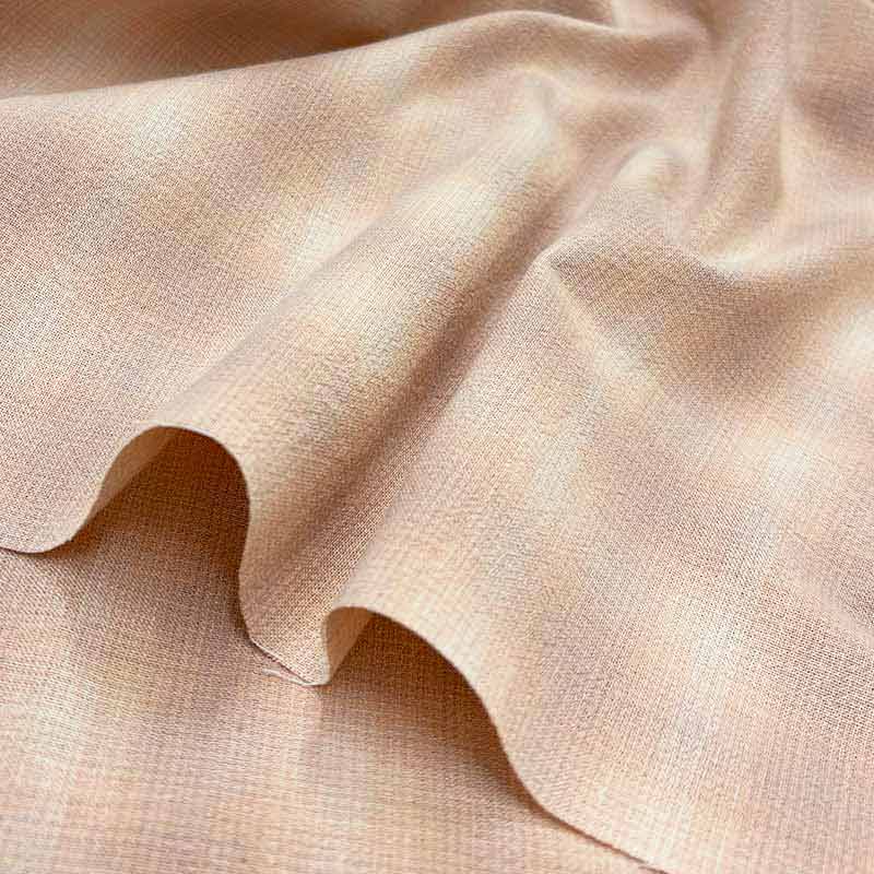 ★2026-01-A15 ミニカット