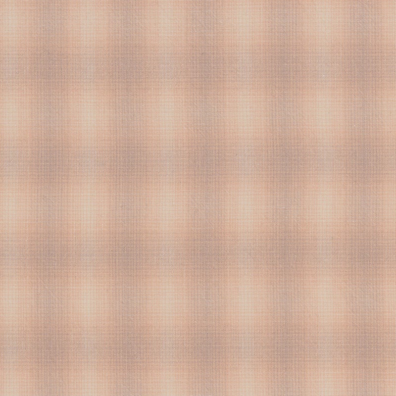 ★2026-01-A15 ミニカット