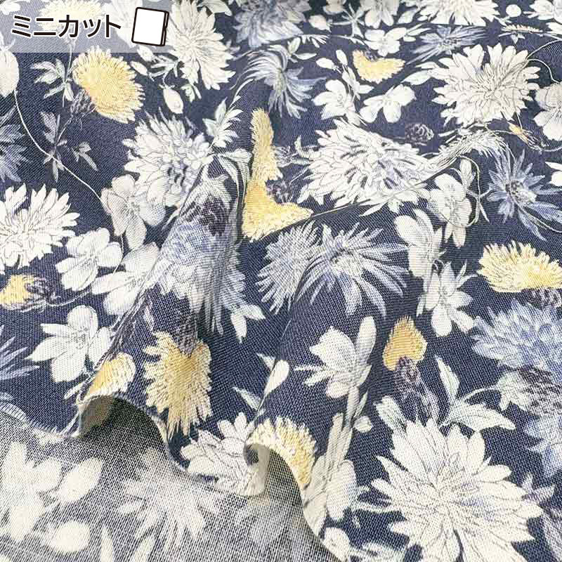 ★2025-03-A03 ミニカット