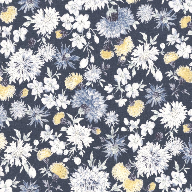 ★2025-03-A03 ミニカット