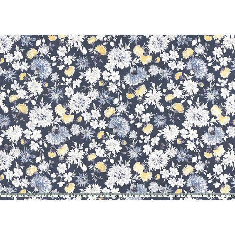 ★2025-03-A03 ミニカット