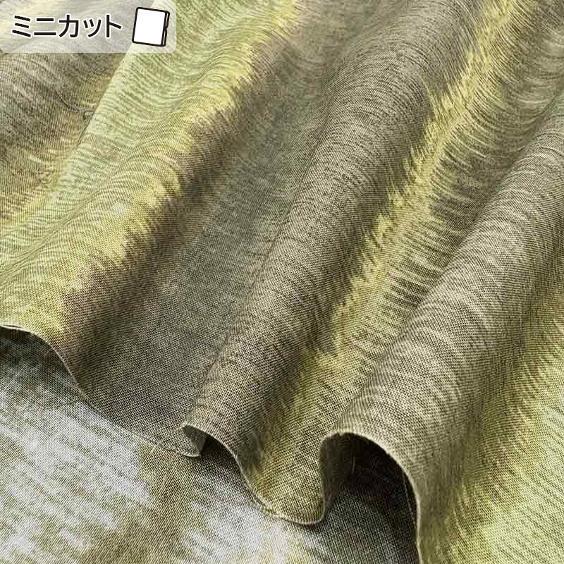 ★2025-03-A06 ミニカット