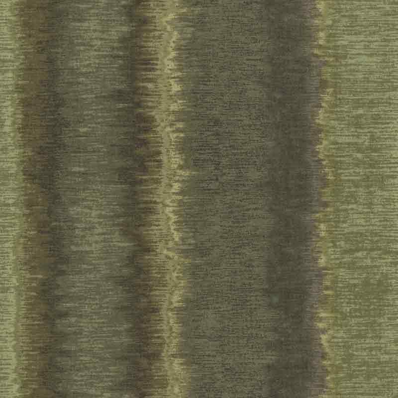 ★2025-03-A06 ミニカット