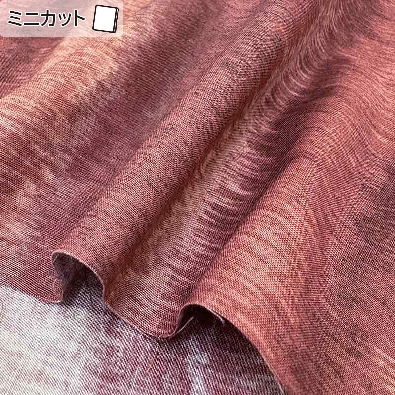 ★2025-03-A07 ミニカット