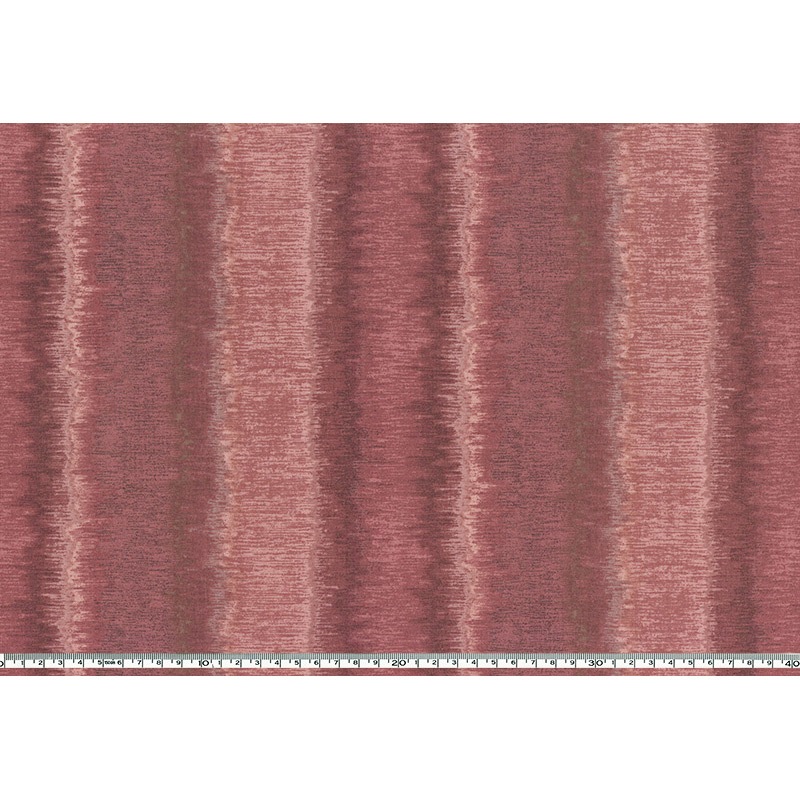 ★2025-03-A07 ミニカット