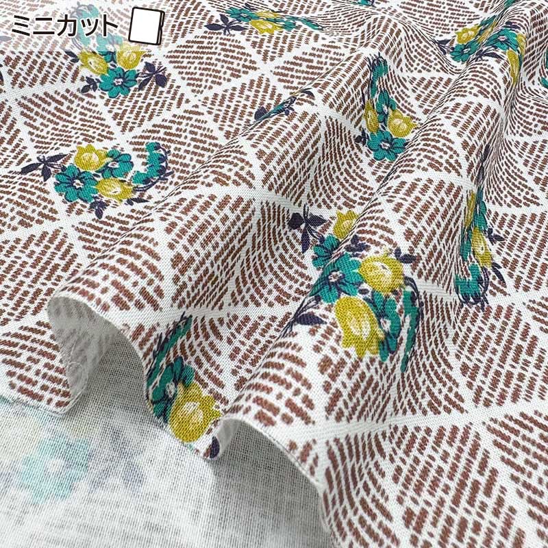 ★2025-03-A10 ミニカット