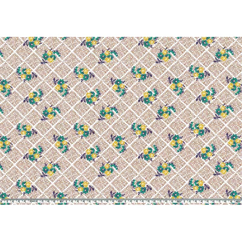 ★2025-03-A10 ミニカット