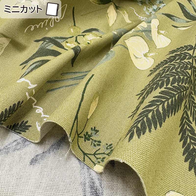 ★2025-03-A14 ミニカット