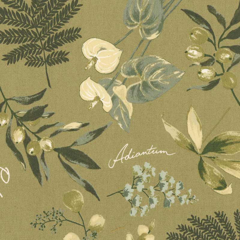 ★2025-03-A14 ミニカット