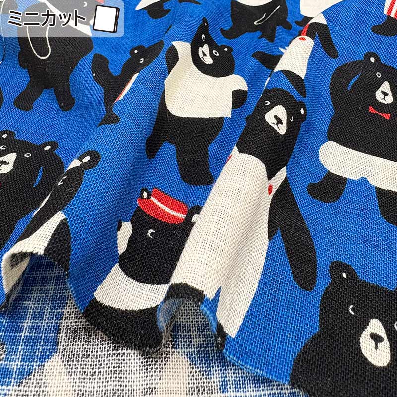 ★2025-03-A15 ミニカット